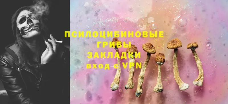 Галлюциногенные грибы Cubensis  Россошь 